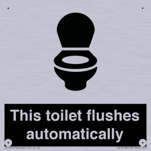 This toilet flushes automatically
